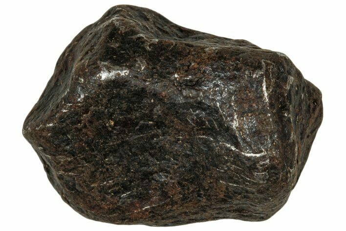 Canyon Diablo Iron Meteorite ( g) - Arizona #303524